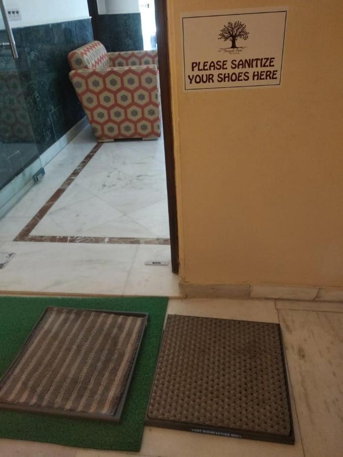 Bed and Breakfast Peepal Tree Residency Near Max Hospital Saket Neu-Delhi Exterior foto