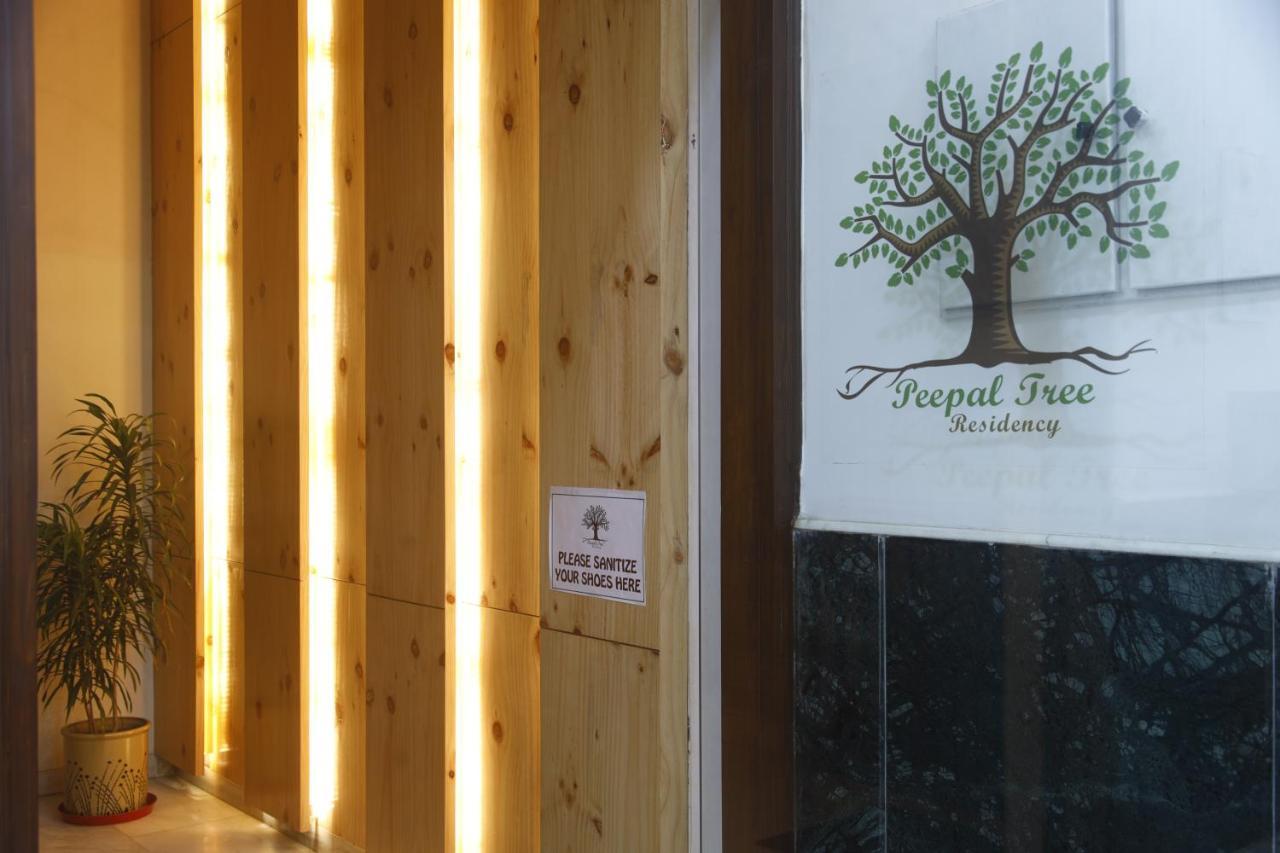 Bed and Breakfast Peepal Tree Residency Near Max Hospital Saket Neu-Delhi Exterior foto